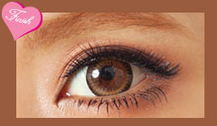 How ToACCNgi`ӂhuE@FinishI