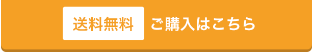 送料無料　ご購入はこちら